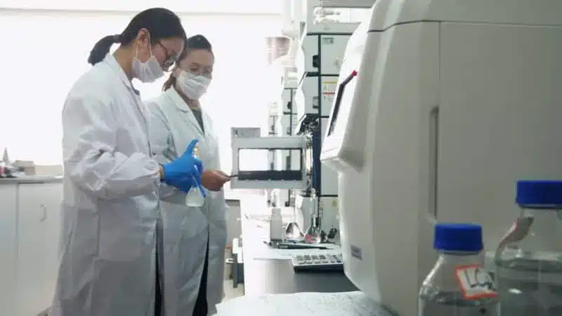 实验4 scaled e1742439048574 How Pesticide Quality Is Controlled Before Export